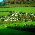 ホテル Sauerland Alpin 3*