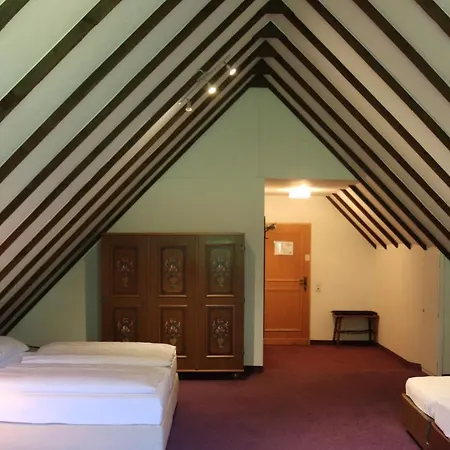Hotel Sauerland Alpin 3*