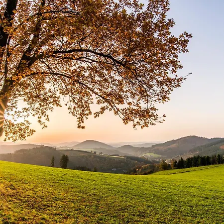 Sauerland Alpin 3*