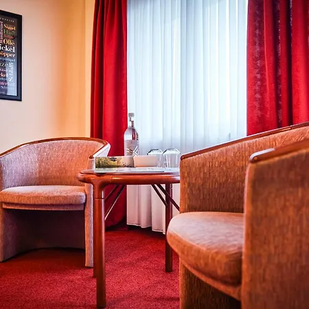 酒店 苏尔地阿尔平酒店 3*