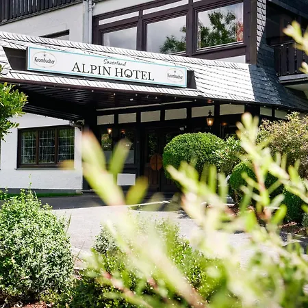 苏尔地阿尔平酒店 施马伦贝格