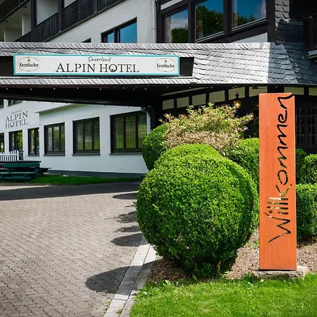 苏尔地阿尔平酒店 施马伦贝格