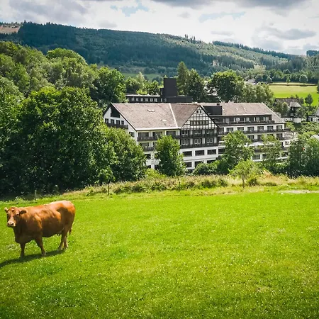 Sauerland Alpin ホテル