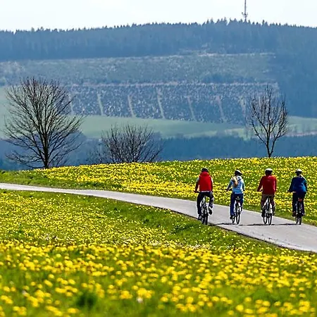 Sauerland Alpin Otel