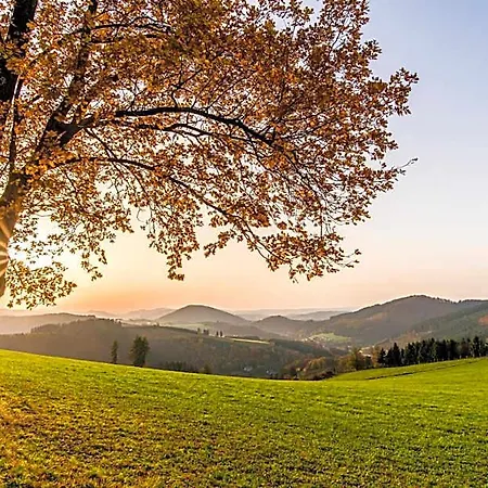 Sauerland Alpin Otel 3*