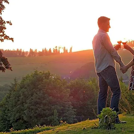 Otel Sauerland Alpin 3*