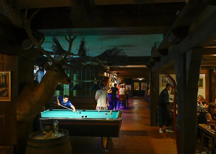 Sauerland Alpin Hotel