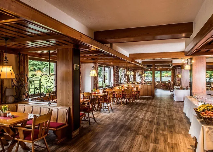 苏尔地阿尔平酒店 酒店 3*