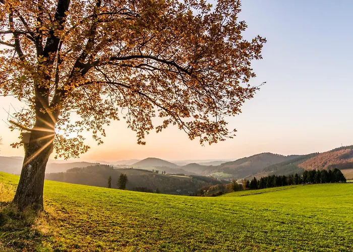 苏尔地阿尔平酒店 3*