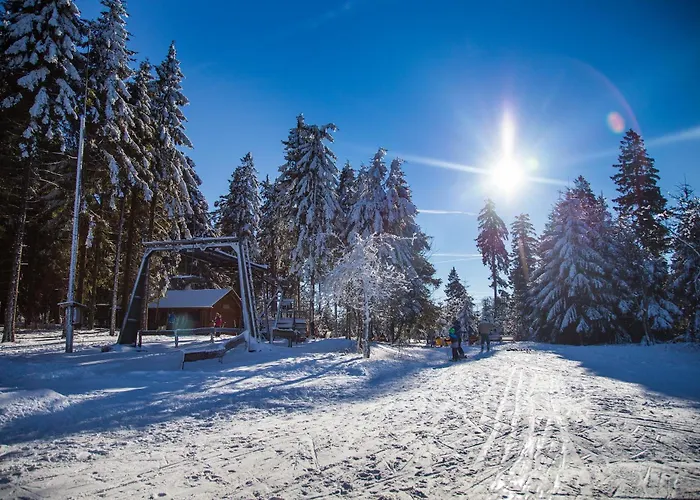 Sauerland Alpin Hotel