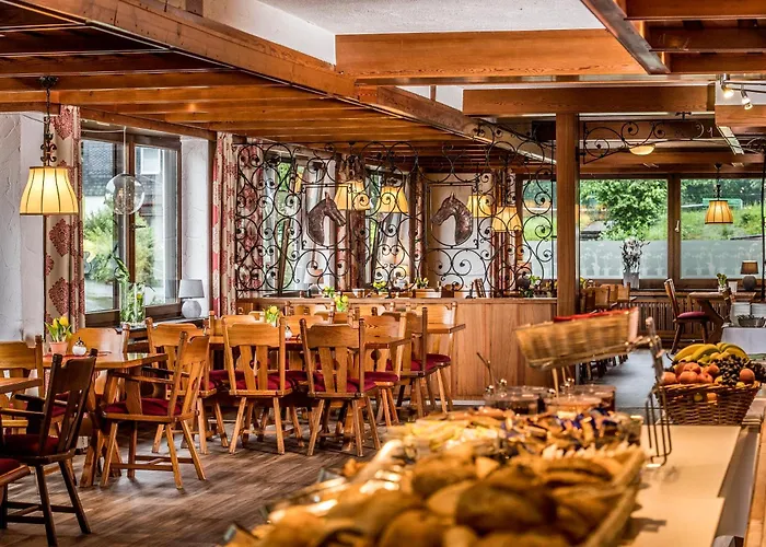 Hotel Sauerland Alpin Schmallenberg