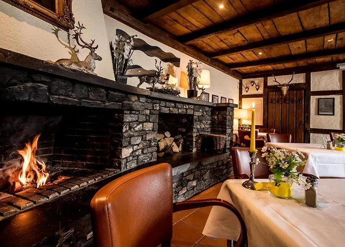 Sauerland Alpin Hotel