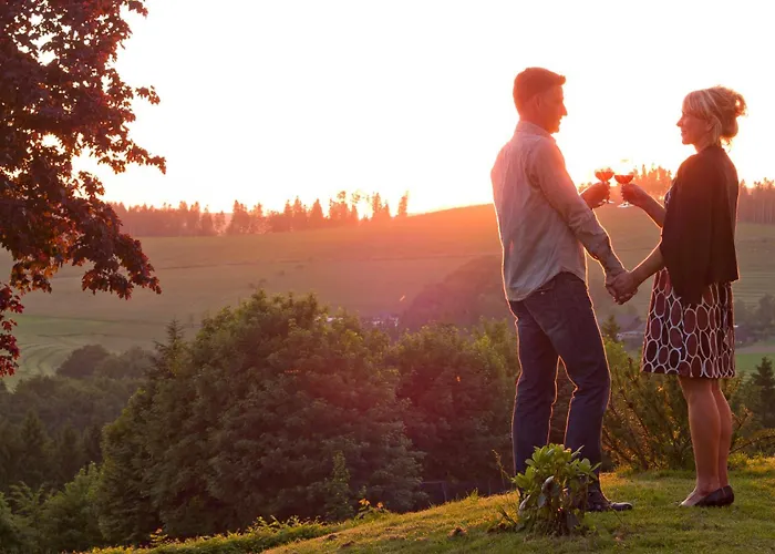 Hotel Sauerland Alpin Schmallenberg