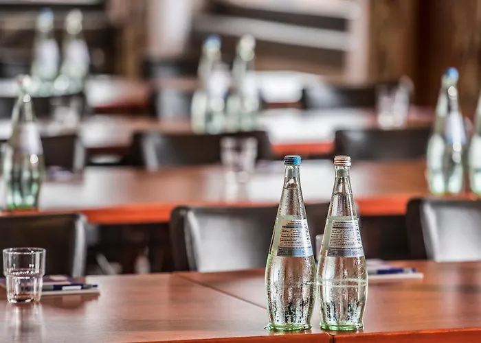 苏尔地阿尔平酒店 3*