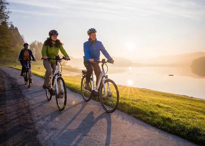 苏尔地阿尔平酒店 酒店