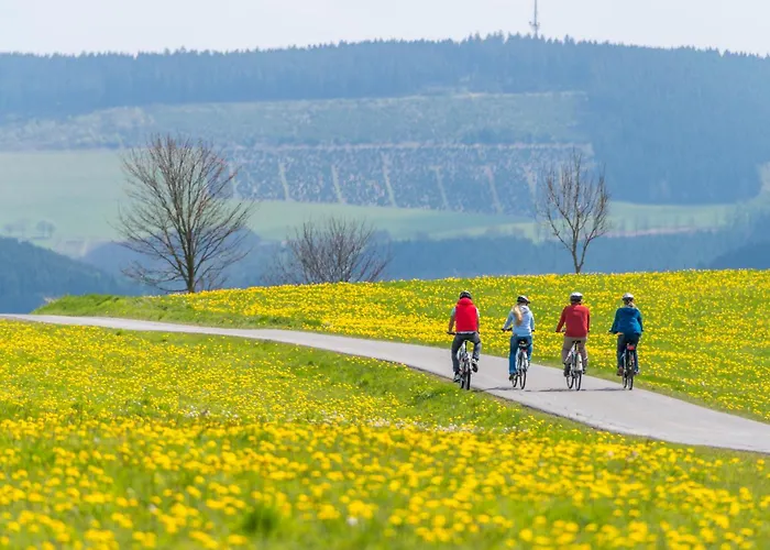 酒店 苏尔地阿尔平酒店 施马伦贝格