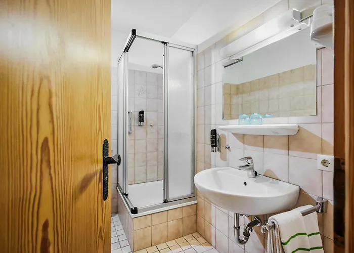 苏尔地阿尔平酒店 3*