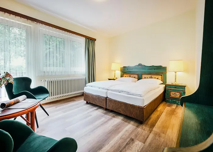 苏尔地阿尔平酒店 3*