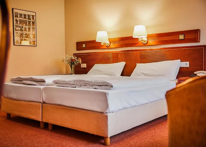 苏尔地阿尔平酒店