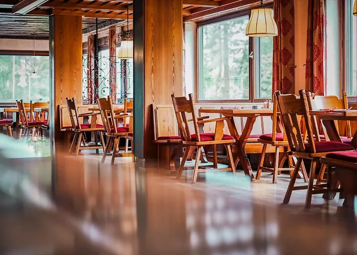 苏尔地阿尔平酒店 3*