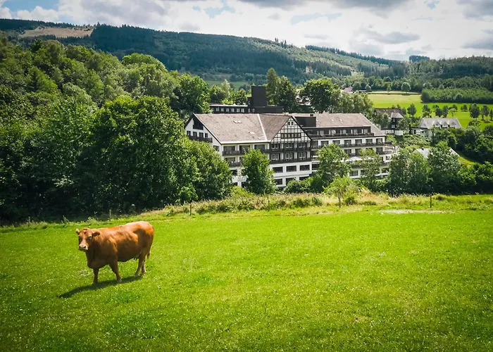 Sauerland Alpin Hotel
