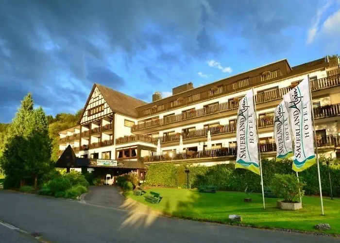 苏尔地阿尔平酒店 施马伦贝格