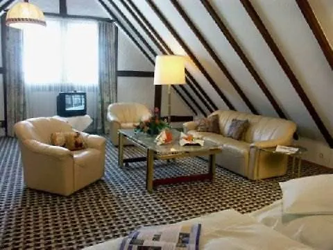 Hotel Sauerland Alpin 3*