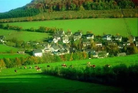 Hotel Sauerland Alpin 3*