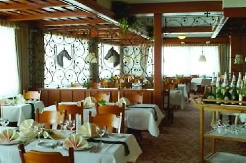 苏尔地阿尔平酒店 3*